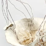Sonya Wilkins, Windswept Skeleton Tree Vessel, 2023