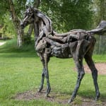 Heather Jansch, Warrior No:4