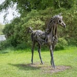 Heather Jansch, Warrior No:4