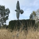 Paul Harvey, Tawny Owl Side