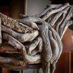 Heather Jansch, Warrior No:4