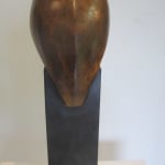 Paul Harvey, Wren