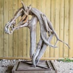 Heather Jansch, Warrior No:4