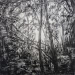 Calum Stevenson, Synthesis XII
