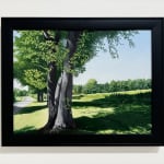 Painting of tree and field