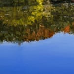 Painting of Central Park