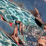 Artwork of Woman in Bikini Swimming up to the surface