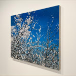 Painting of blooming tree