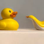 Detail of Rubber duck facing plastic minimalist duck