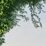 Painting of tree and field