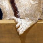 Painting of a white and brown lemur sitting on a a brown platform