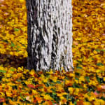 Painting of autumn leaves with a tree trunk