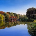 Painting of Central Park