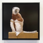 Painting of a white and brown lemur sitting on a a brown platform