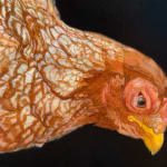 Painting of a pecking chicken
