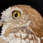 Painting of an owl with a tether on it's foot