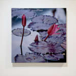 Mixed media artwork of waterlilies and flowers