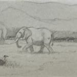 Scene of two elephants and a bird