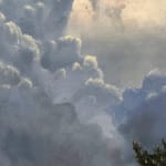 Oil painting of tree with large clouds on canvas