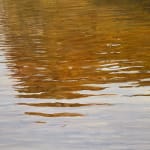 Landscape painting of a body of water and some greenery