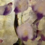 Diptych artwork of orchids