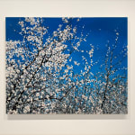 Painting of blooming tree