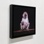 Print of painting of Monkey sitting on a ledge
