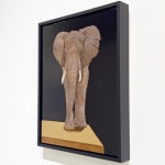 Painting of an elephant walking towards the viewer