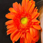 Painting of a girl with flowers in her hair