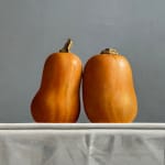 Still life of two squashes