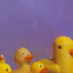 Detail of different rubber ducks