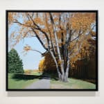Painting of a tree with fall foliage