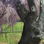 Oil painting of tree before water and farm on canvas