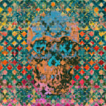 abstract print with skull image