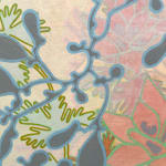 Painting of a botanical scene