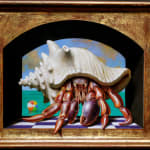 Oil painting of Hermit crab in little window nook on panel