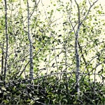 Landscape oil painting of dense green woods on canvas