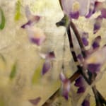 Diptych artwork of orchids