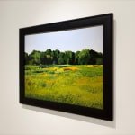 Painting of a sunflower field