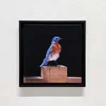 Print of painting of blue bird on a ledge