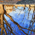 Landscape of a tree in a park reflecting in water