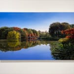 Painting of Central Park
