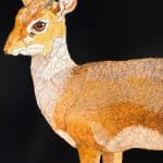 Painting of a small African antelope