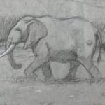 Scene of two elephants and a bird