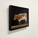 Painting of a Texas longhorn