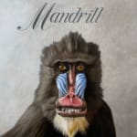 Painting of a mandrill