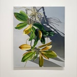 Painting of a magnolia plant