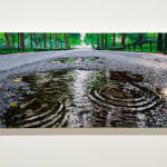 Painting of a rain puddle in the walkway of a park