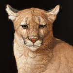 Painting of a mountain lion