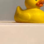 Detail of rubber duck